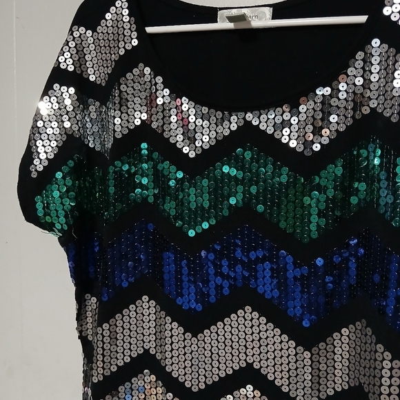 Dressbarn brand women's beautiful sequin Pullover top. Size 1X - Picture 4 of 9